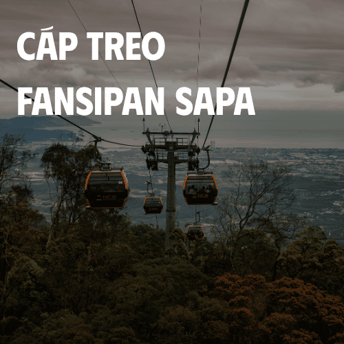 item-img